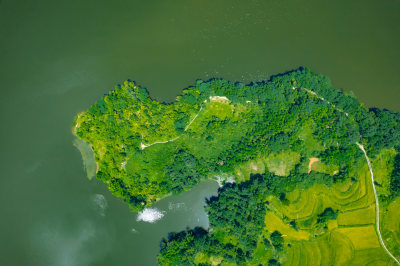 湿地公园山水田园