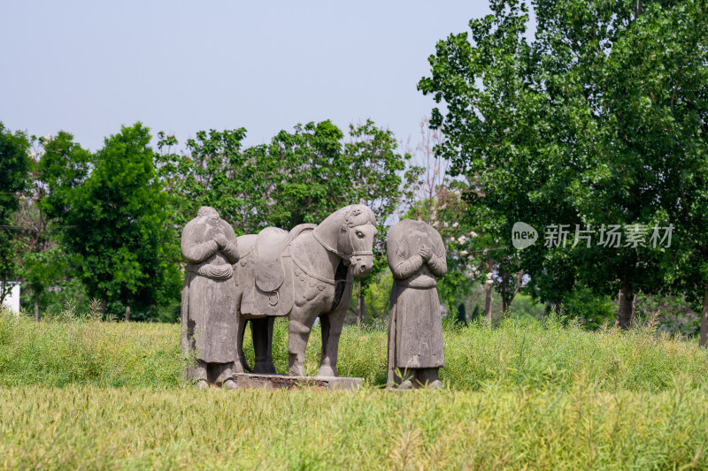 河南巩义夏季麦田里的古代宋陵石像