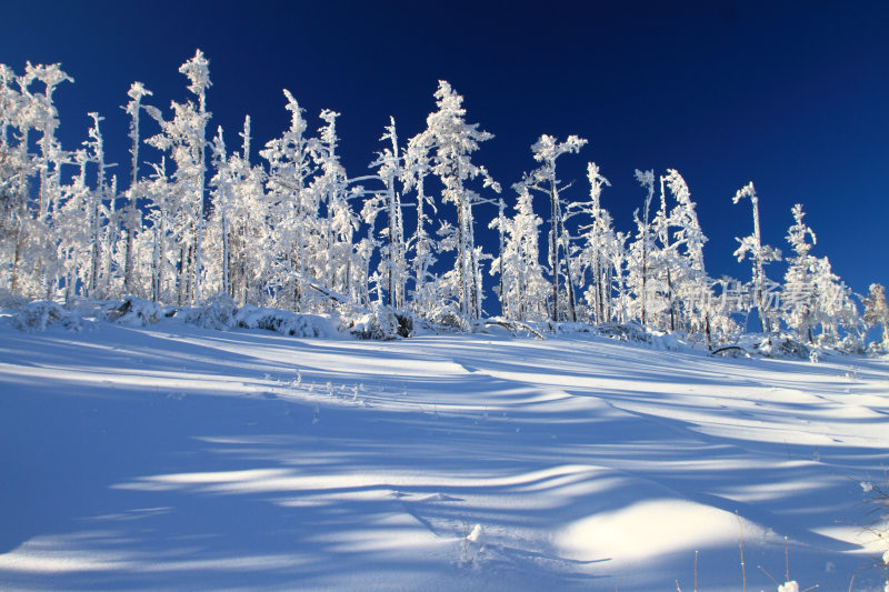 大兴安岭冬季林海雪原冰雪风光