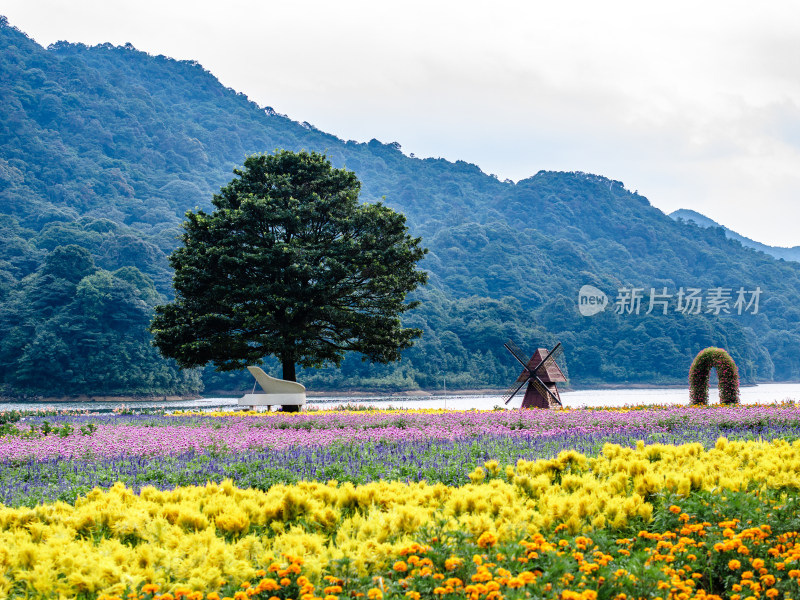 中国广州市从化区石门国家森林公园