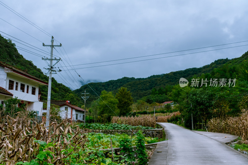 汉中留坝火烧店镇秦岭深处的山中乡村小路