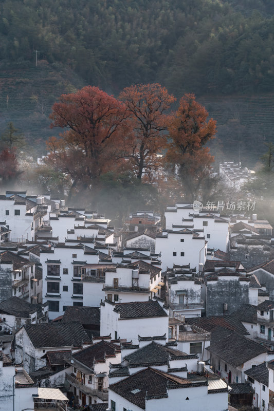 江西上饶婺源石城红枫网红景点