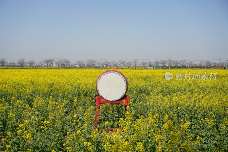 武汉第十届知音故里消泗油菜花花海