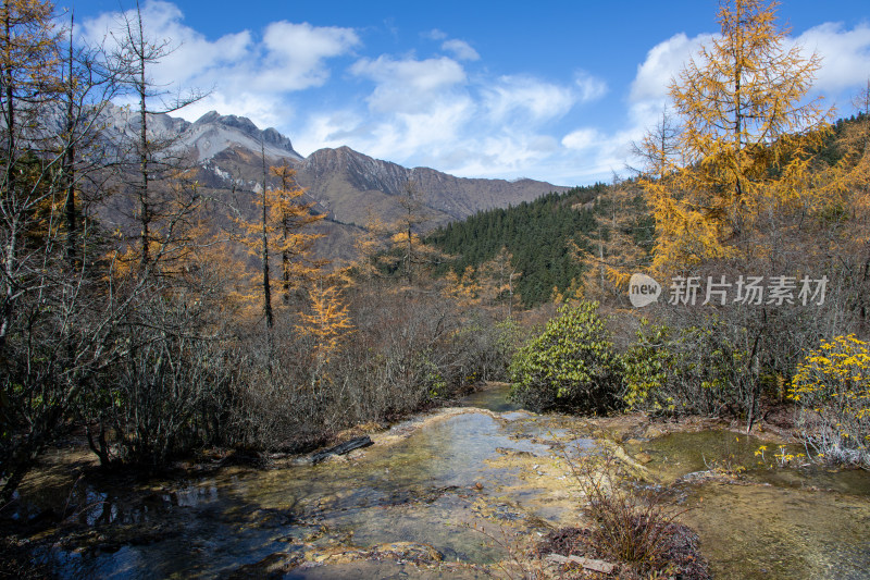 四川阿坝黄龙景区秋日山林流水