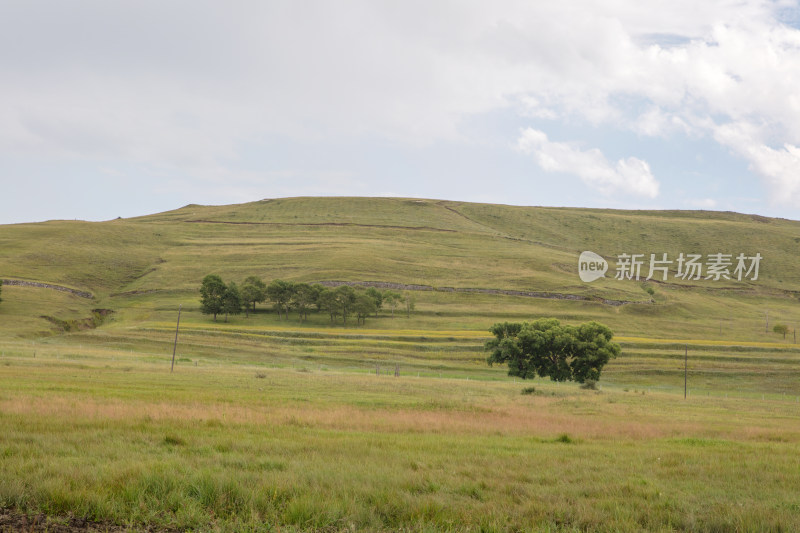 蓝天白云下河北省张北县草原风光