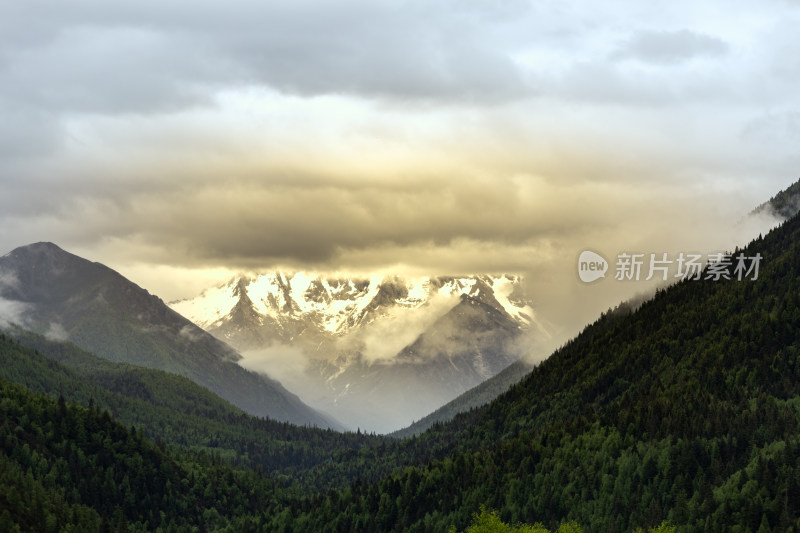 川西之旅，雪山，白云，树林