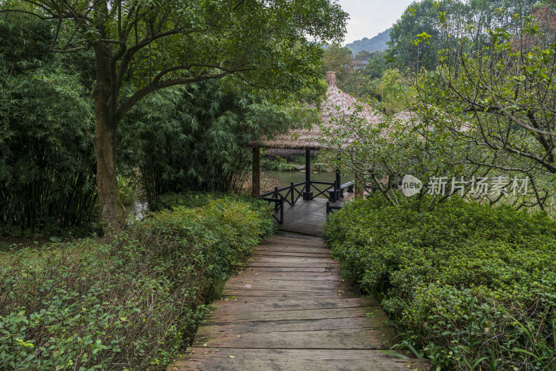 杭州三台山乌龟潭风景