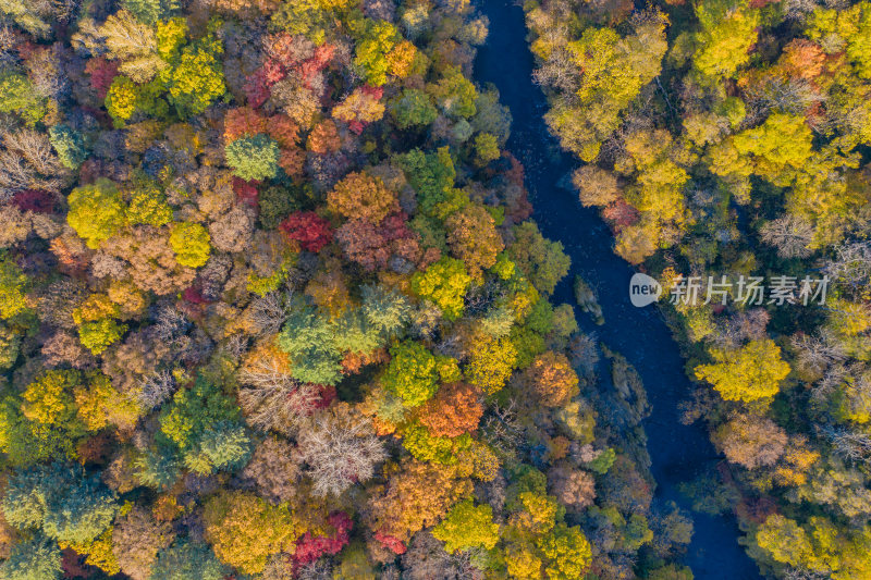 秋季森林与河流
