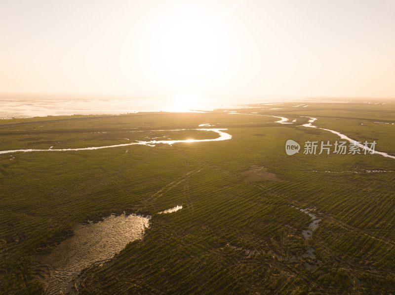 盐城黄海野鹿荡滩涂风光