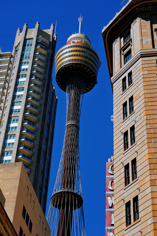 悉尼城市风光，悉尼塔