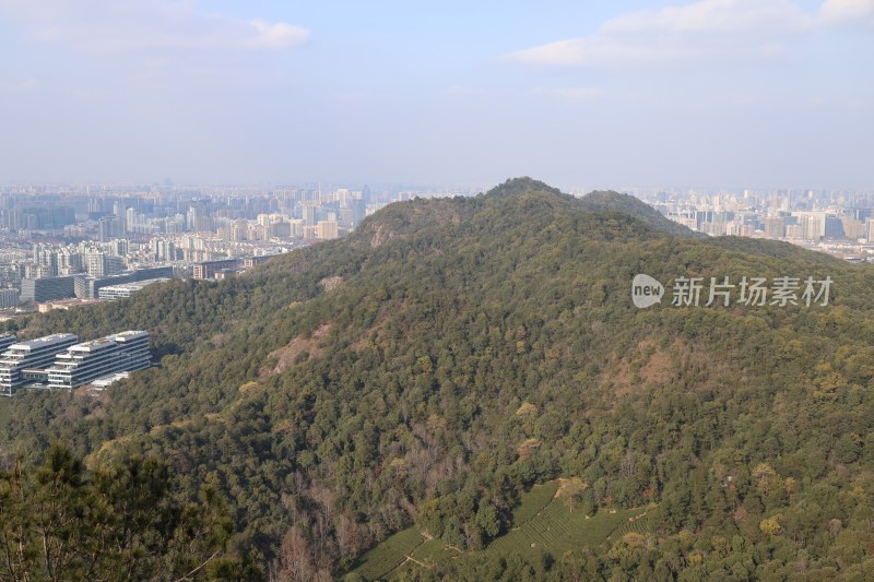 城市边山林俯瞰景象