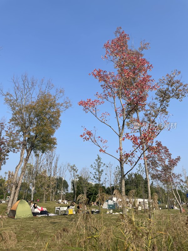 成都兴隆湖边的景色和露营的人们