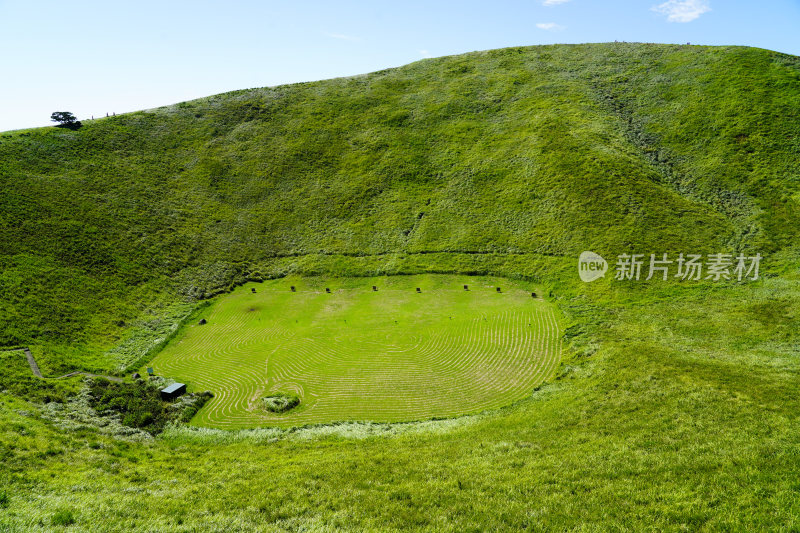 日本静冈县伊东市大室山仙人掌动物园