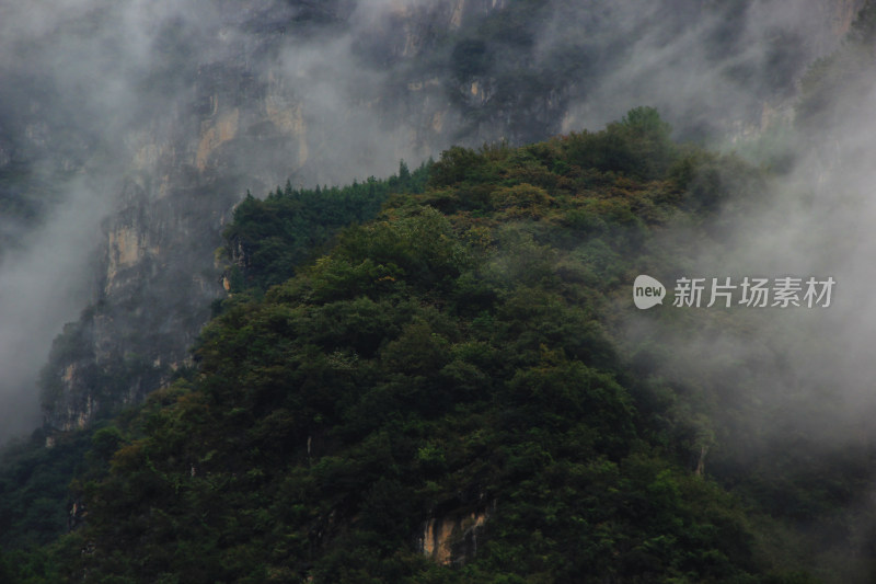 雨后深山云雾实拍