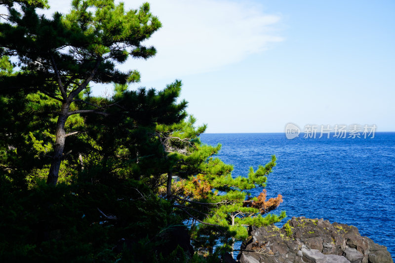 日本静冈县伊东市城崎海岸门胁吊桥一户建