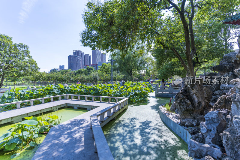 武汉武昌区紫阳公园风景