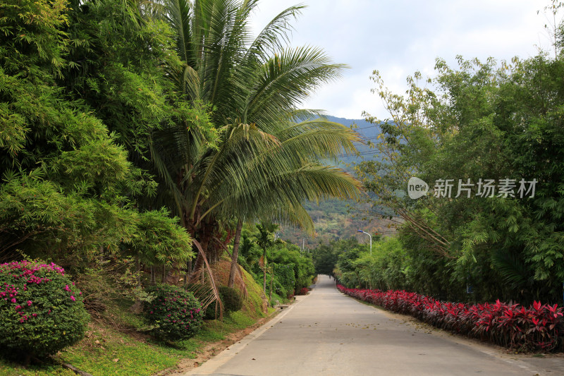 海南公路汽车广告背景图