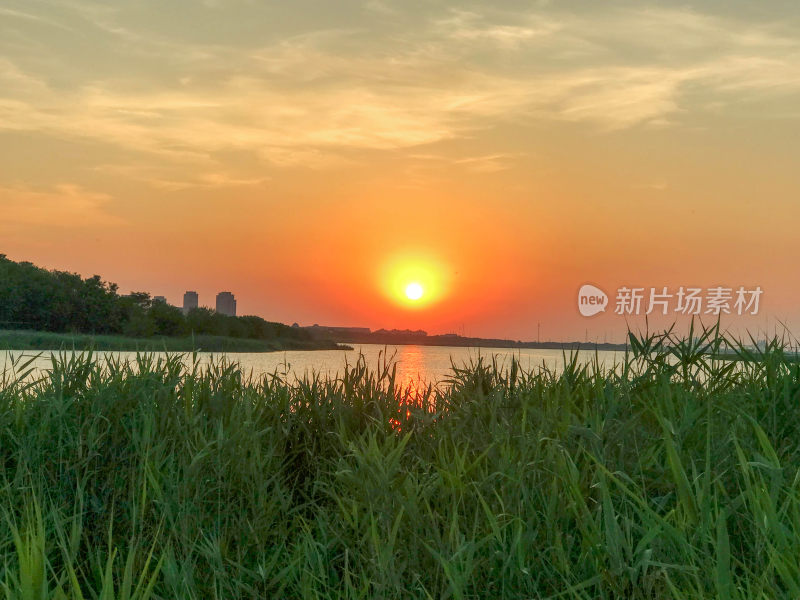 夕阳下的芦苇荡和水面景观