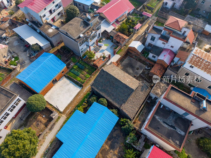 航拍集中农村房屋建筑