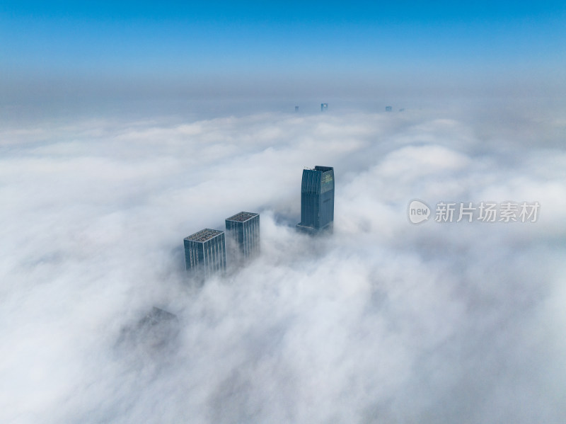城市云海中的摩天大楼