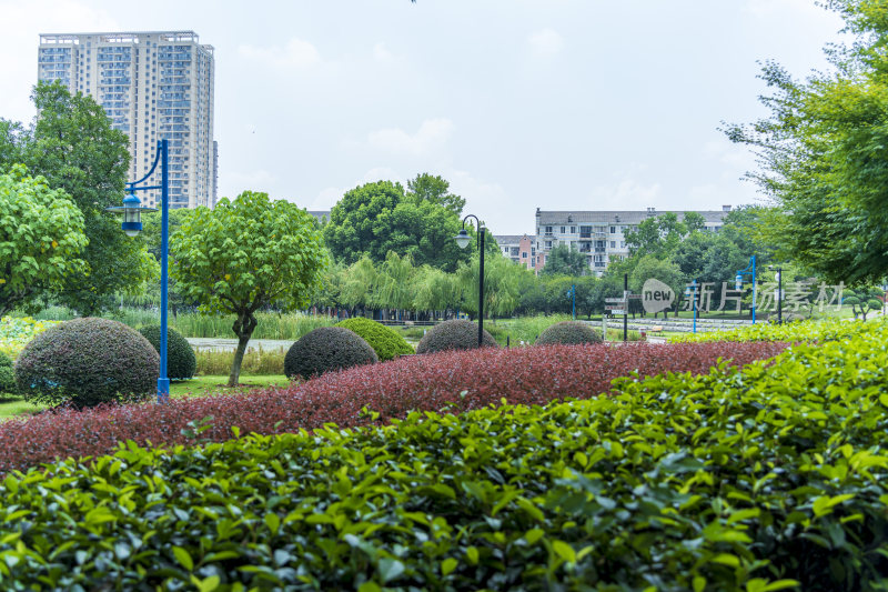 武汉关山荷兰风情园风景