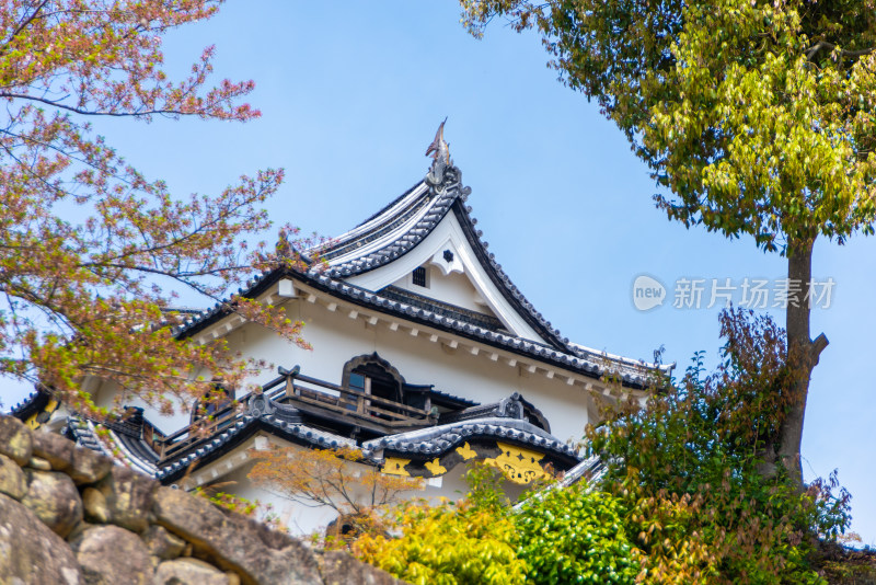 古建筑风格建筑被绿植环绕