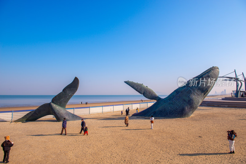 烟台孤独的鲸海边鲸鱼造型雕塑景观