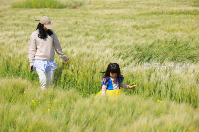 母女漫步麦田享受休闲时光