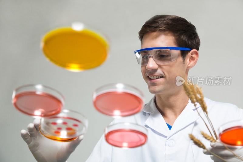 外籍男科学家在实验室用培养皿做实验