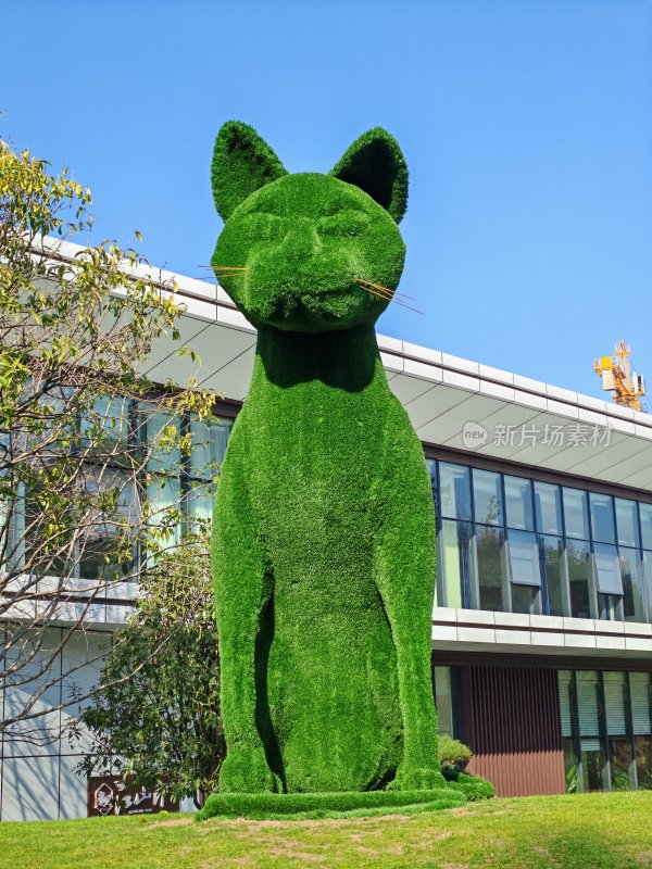 户外绿雕猫形植物雕塑特写