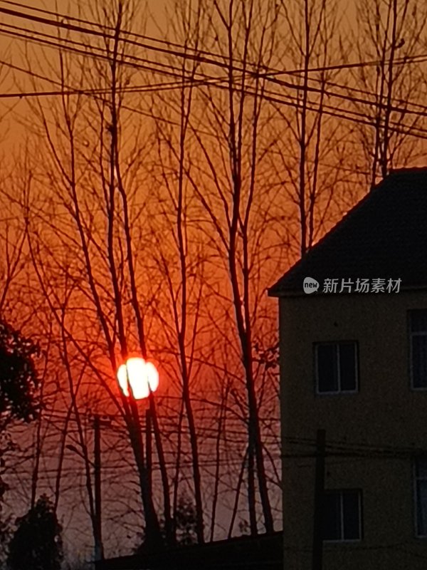 夕阳下的房屋与树木剪影