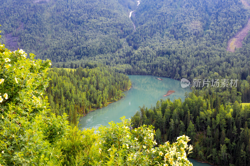 春天夏天喀纳斯月亮湾