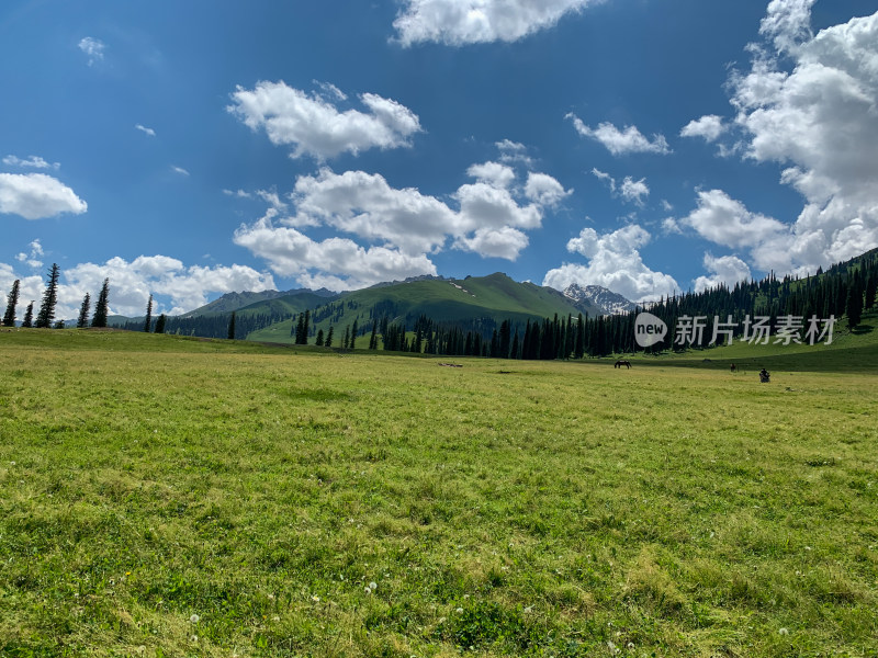 中国新疆伊犁那拉提草原夏季旅游风光