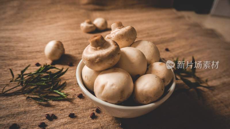 野生菌野生菌蘑菇生长环境菌类山菌