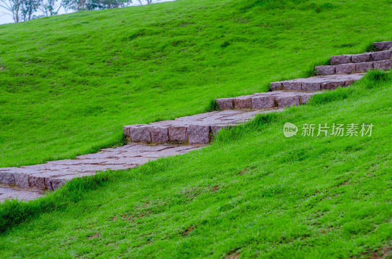 绿色的大地上上升的台阶