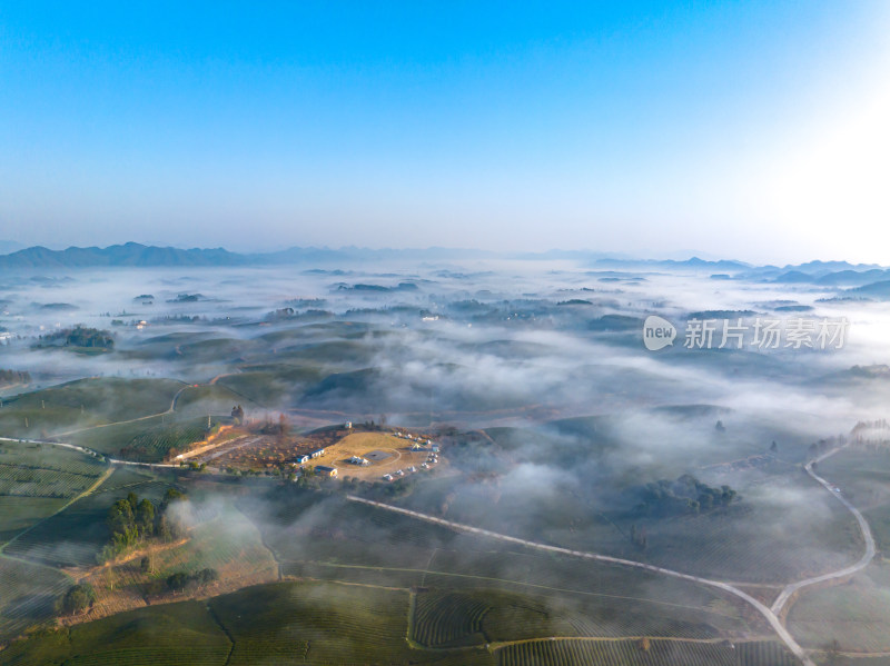 贵州遵义湄潭茶海