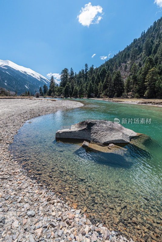 西藏林芝 巍峨雪山溪流湖泊与原始森林特写