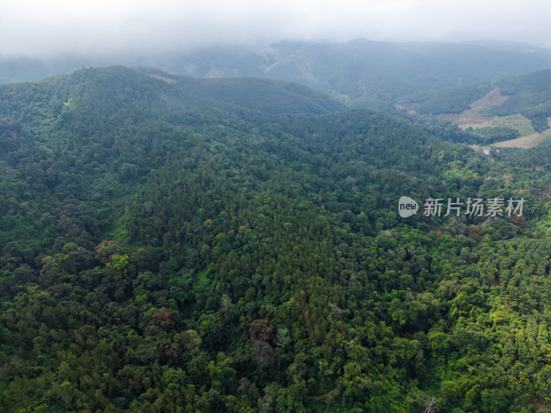 航拍绿意盎然的广袤山林自然景观