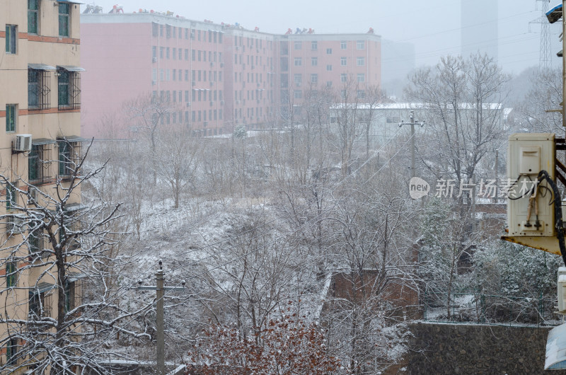 渭南的雪景