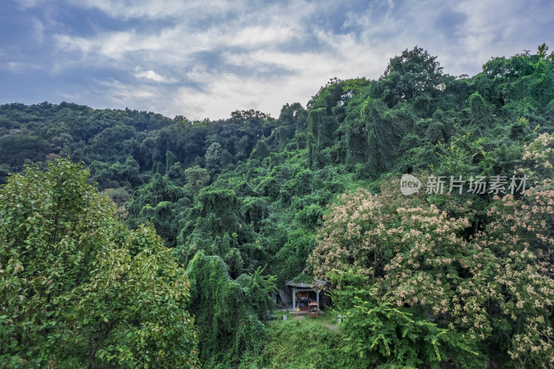 航拍杭州凤凰山景区凤凰池