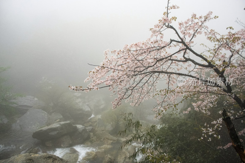 庐山风景区