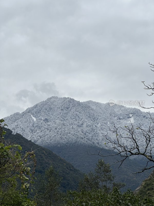 川西康定折多山雪山秋景