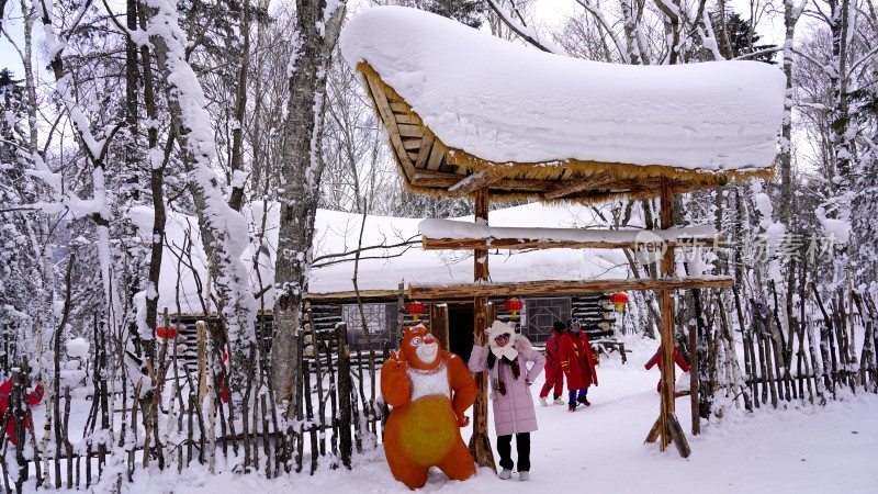 林海雪原