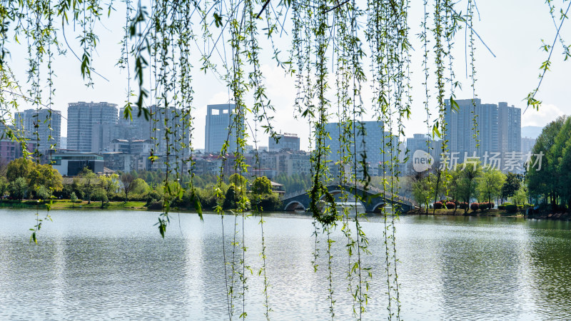 湖北黄石磁湖情人路风景