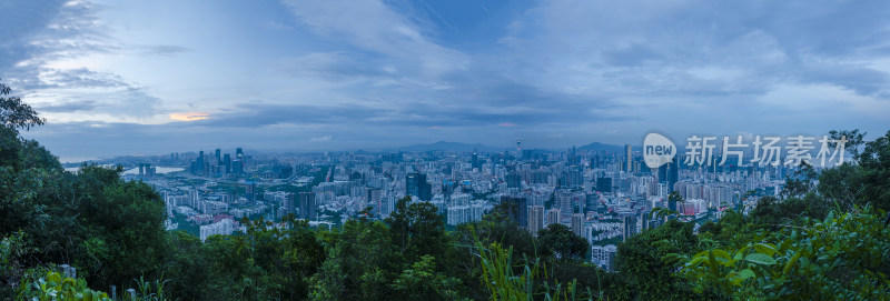 深圳南山公园看南山CBD摩天大楼建筑长图