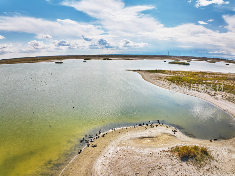 新疆乌伦古湖候鸟湿地保护区