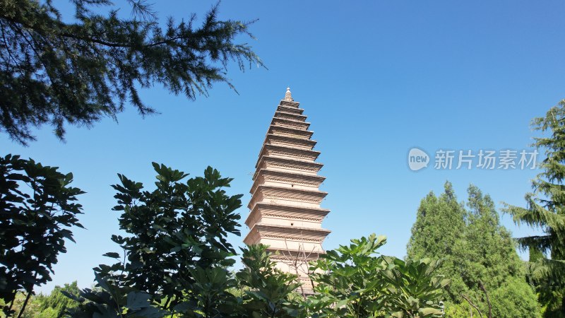 三门峡蛤蟆塔宝轮寺塔