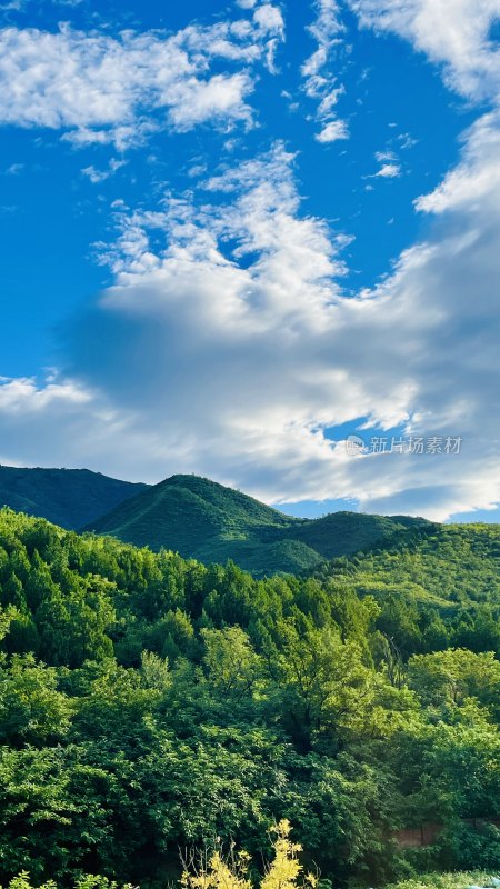 蓝天白云下的山林风光