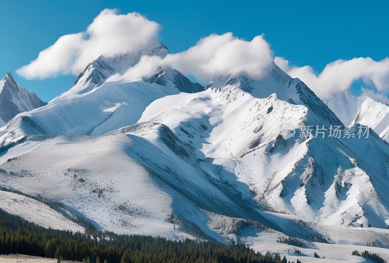 雪山高原森林风景