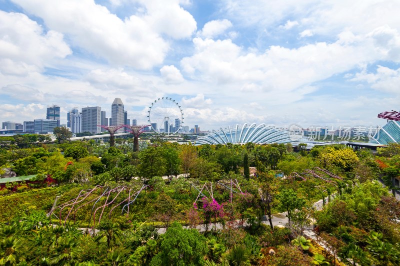 新加坡滨海湾花园